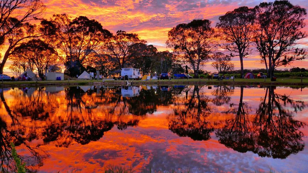 Coonawarra Bush Holiday Park Exterior foto